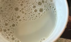 麦当劳黑芝麻豆浆,麦当劳跨界美食，唤醒你的味蕾